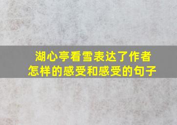 湖心亭看雪表达了作者怎样的感受和感受的句子