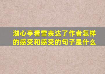 湖心亭看雪表达了作者怎样的感受和感受的句子是什么