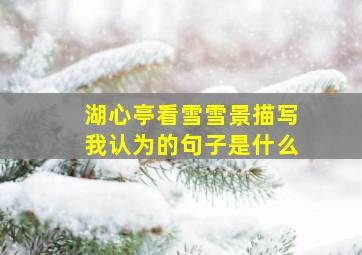 湖心亭看雪雪景描写我认为的句子是什么