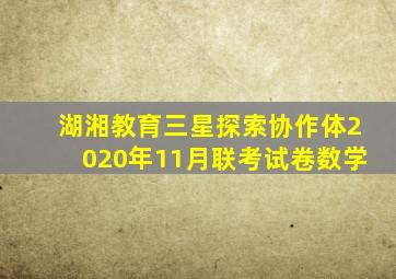 湖湘教育三星探索协作体2020年11月联考试卷数学