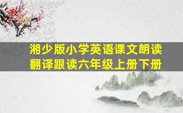 湘少版小学英语课文朗读翻译跟读六年级上册下册