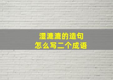 湿漉漉的造句怎么写二个成语