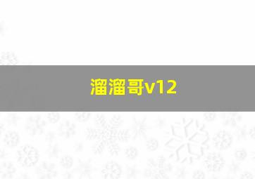 溜溜哥v12