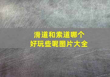 滑道和索道哪个好玩些呢图片大全