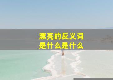 漂亮的反义词是什么是什么