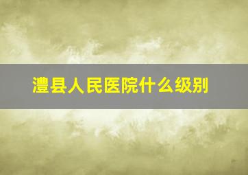 澧县人民医院什么级别