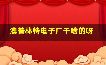 澳普林特电子厂干啥的呀