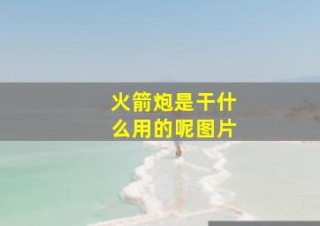 火箭炮是干什么用的呢图片