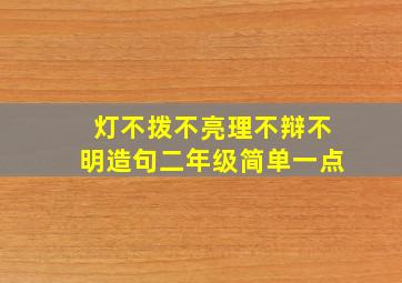 灯不拨不亮理不辩不明造句二年级简单一点