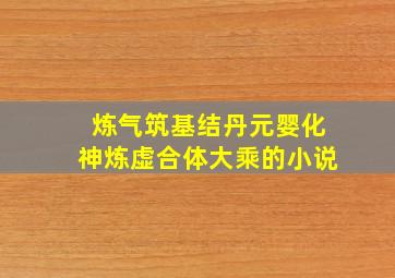 炼气筑基结丹元婴化神炼虚合体大乘的小说