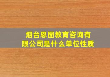 烟台恩图教育咨询有限公司是什么单位性质