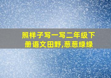 照样子写一写二年级下册语文田野,葱葱绿绿