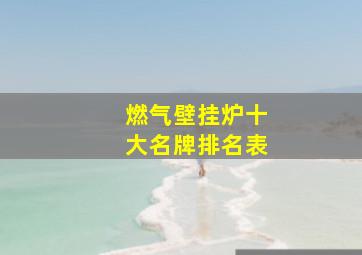 燃气壁挂炉十大名牌排名表