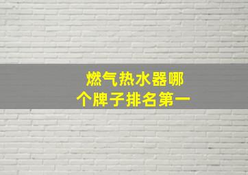 燃气热水器哪个牌子排名第一