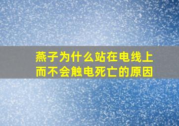 燕子为什么站在电线上而不会触电死亡的原因