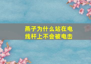 燕子为什么站在电线杆上不会被电击