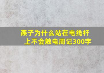 燕子为什么站在电线杆上不会触电周记300字