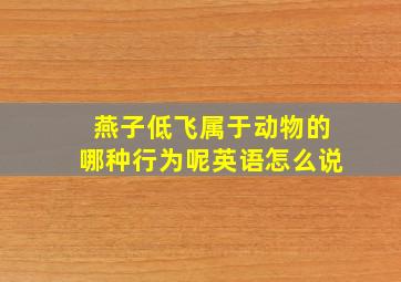 燕子低飞属于动物的哪种行为呢英语怎么说