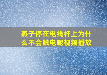 燕子停在电线杆上为什么不会触电呢视频播放