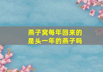 燕子窝每年回来的是头一年的燕子吗