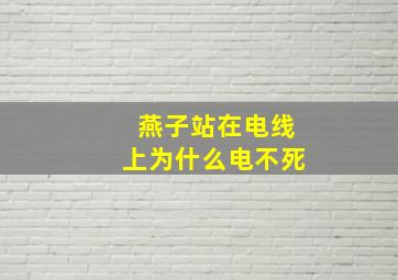 燕子站在电线上为什么电不死