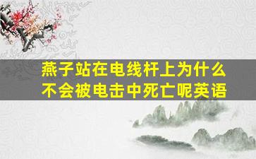 燕子站在电线杆上为什么不会被电击中死亡呢英语