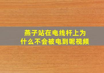 燕子站在电线杆上为什么不会被电到呢视频