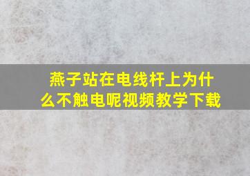 燕子站在电线杆上为什么不触电呢视频教学下载