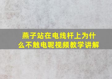 燕子站在电线杆上为什么不触电呢视频教学讲解