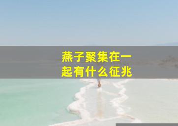 燕子聚集在一起有什么征兆