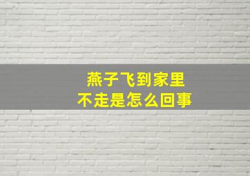 燕子飞到家里不走是怎么回事