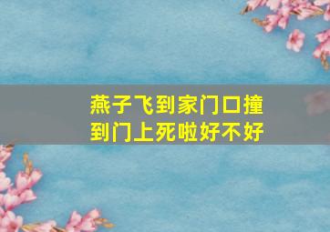 燕子飞到家门口撞到门上死啦好不好