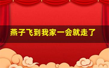 燕子飞到我家一会就走了