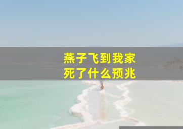 燕子飞到我家死了什么预兆