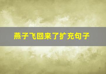 燕子飞回来了扩充句子