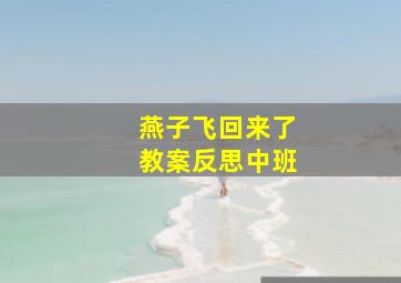 燕子飞回来了教案反思中班