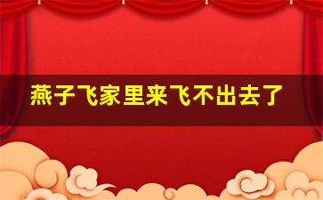 燕子飞家里来飞不出去了