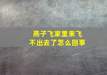 燕子飞家里来飞不出去了怎么回事