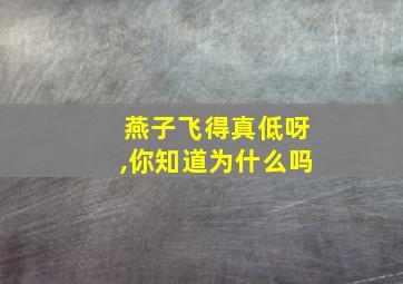 燕子飞得真低呀,你知道为什么吗