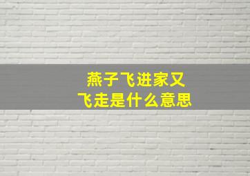 燕子飞进家又飞走是什么意思