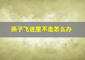 燕子飞进屋不走怎么办