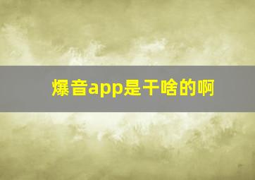 爆音app是干啥的啊