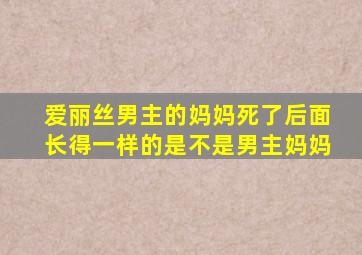 爱丽丝男主的妈妈死了后面长得一样的是不是男主妈妈