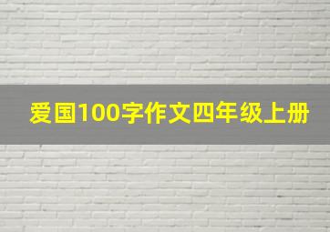 爱国100字作文四年级上册