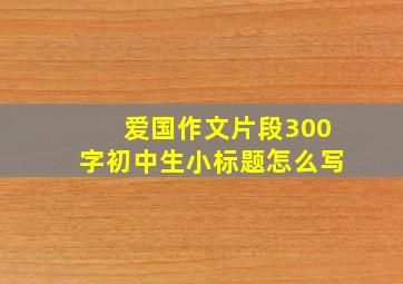 爱国作文片段300字初中生小标题怎么写