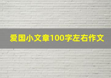 爱国小文章100字左右作文