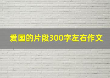 爱国的片段300字左右作文