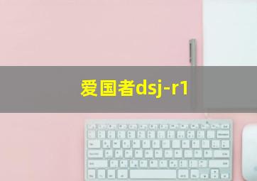 爱国者dsj-r1