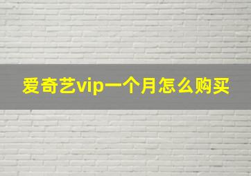 爱奇艺vip一个月怎么购买