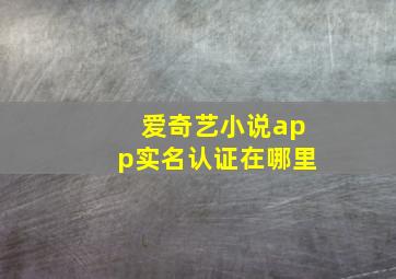 爱奇艺小说app实名认证在哪里